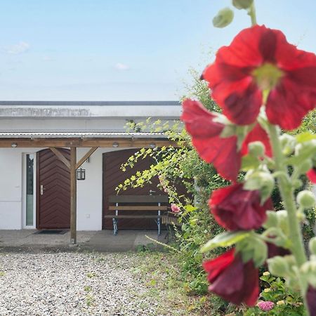 Haus Waldfrieden Ferienhaeuschen Waldfrieden Διαμέρισμα Haffkrug Εξωτερικό φωτογραφία