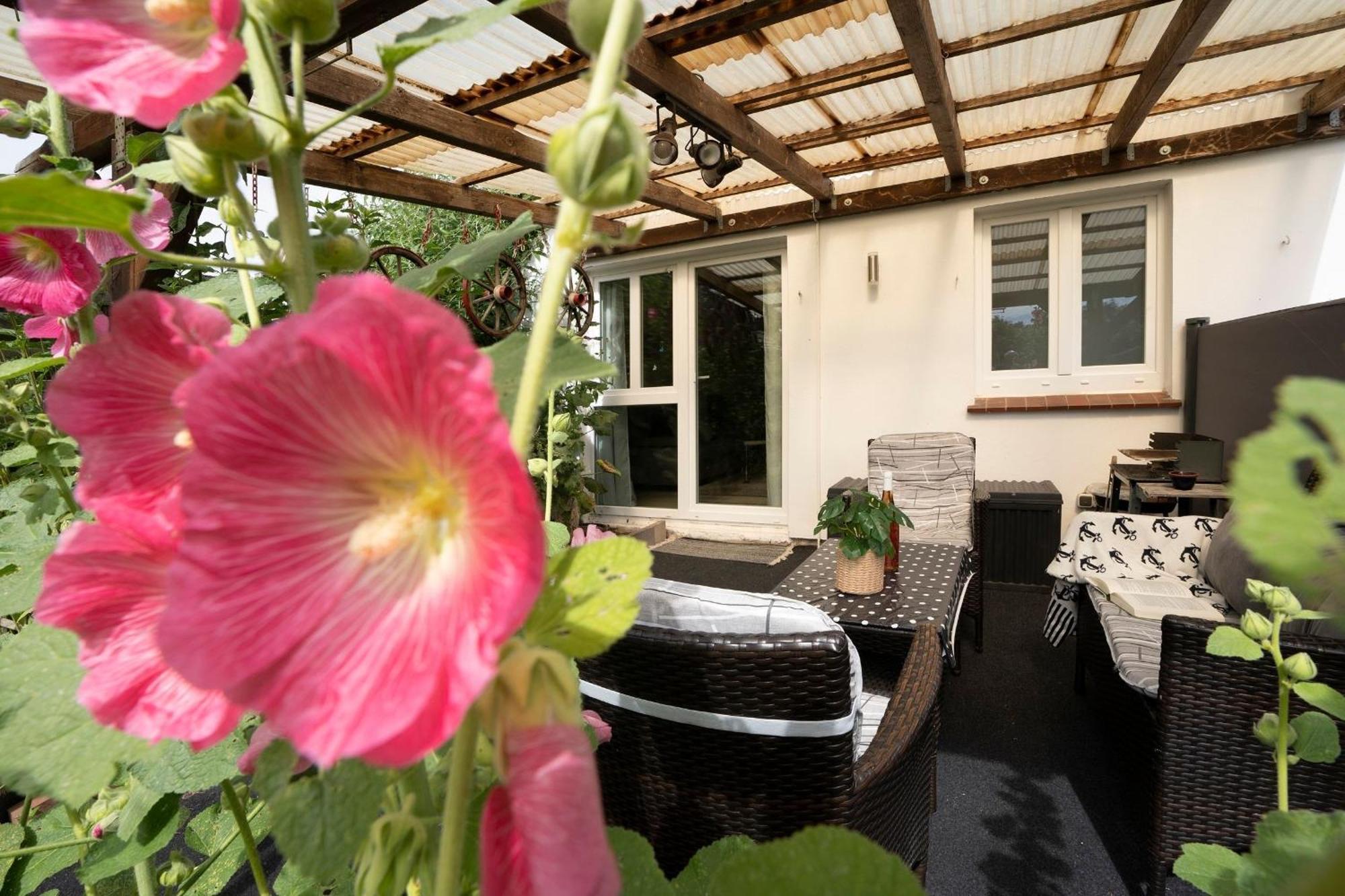 Haus Waldfrieden Ferienhaeuschen Waldfrieden Διαμέρισμα Haffkrug Εξωτερικό φωτογραφία