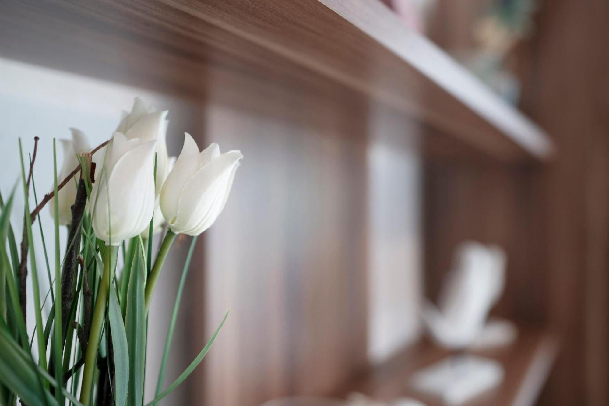 Haus Waldfrieden Ferienhaeuschen Waldfrieden Διαμέρισμα Haffkrug Εξωτερικό φωτογραφία